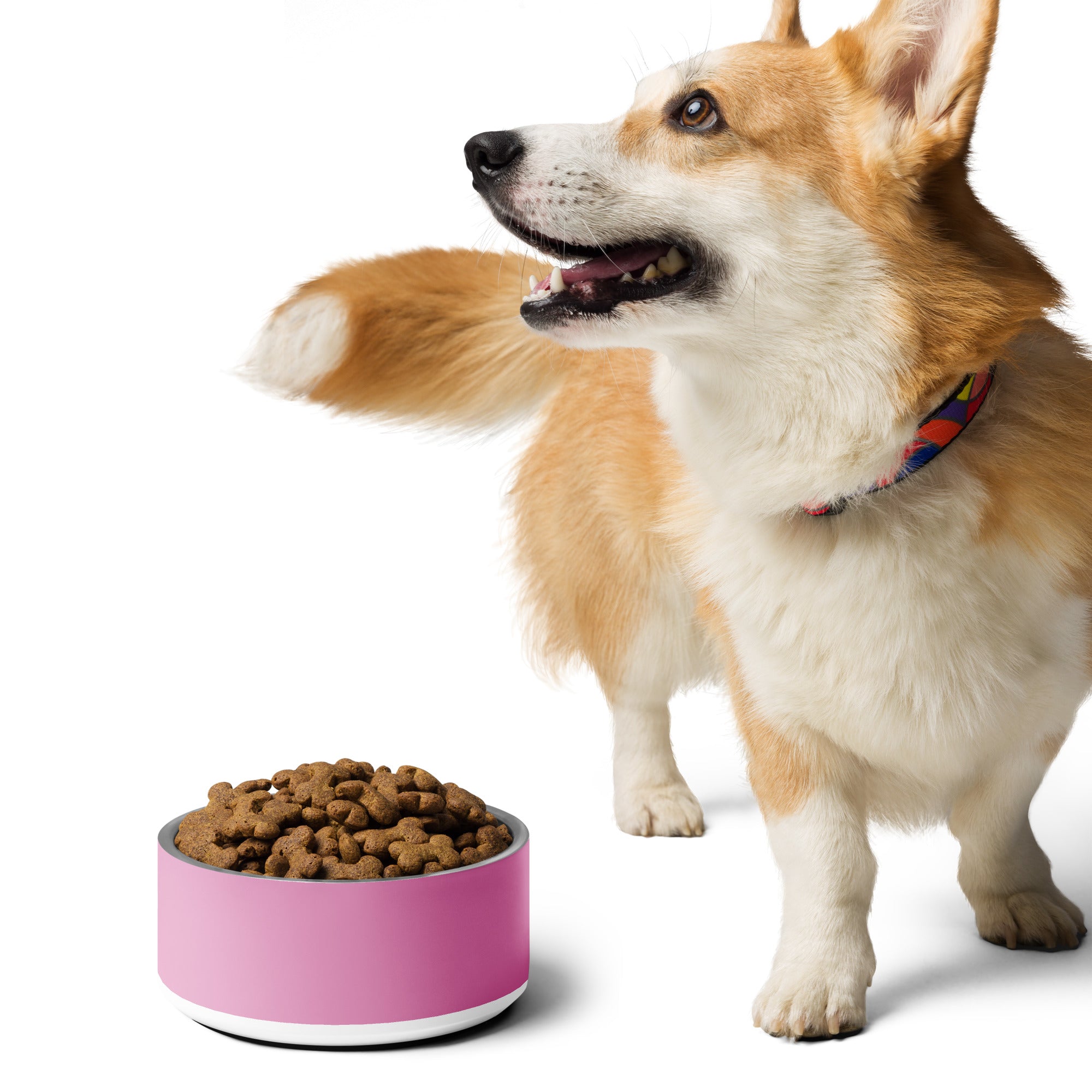 Pet bowl- Pink