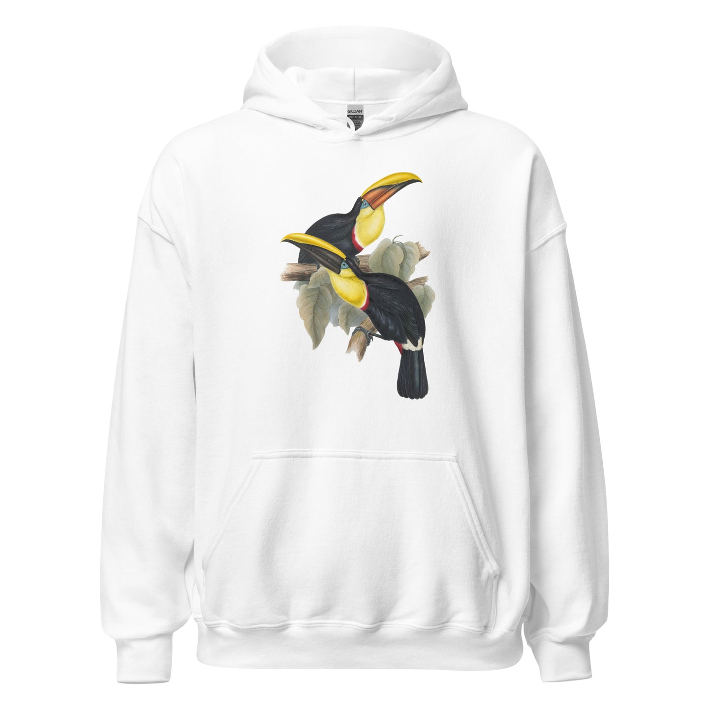 Family of Toucans