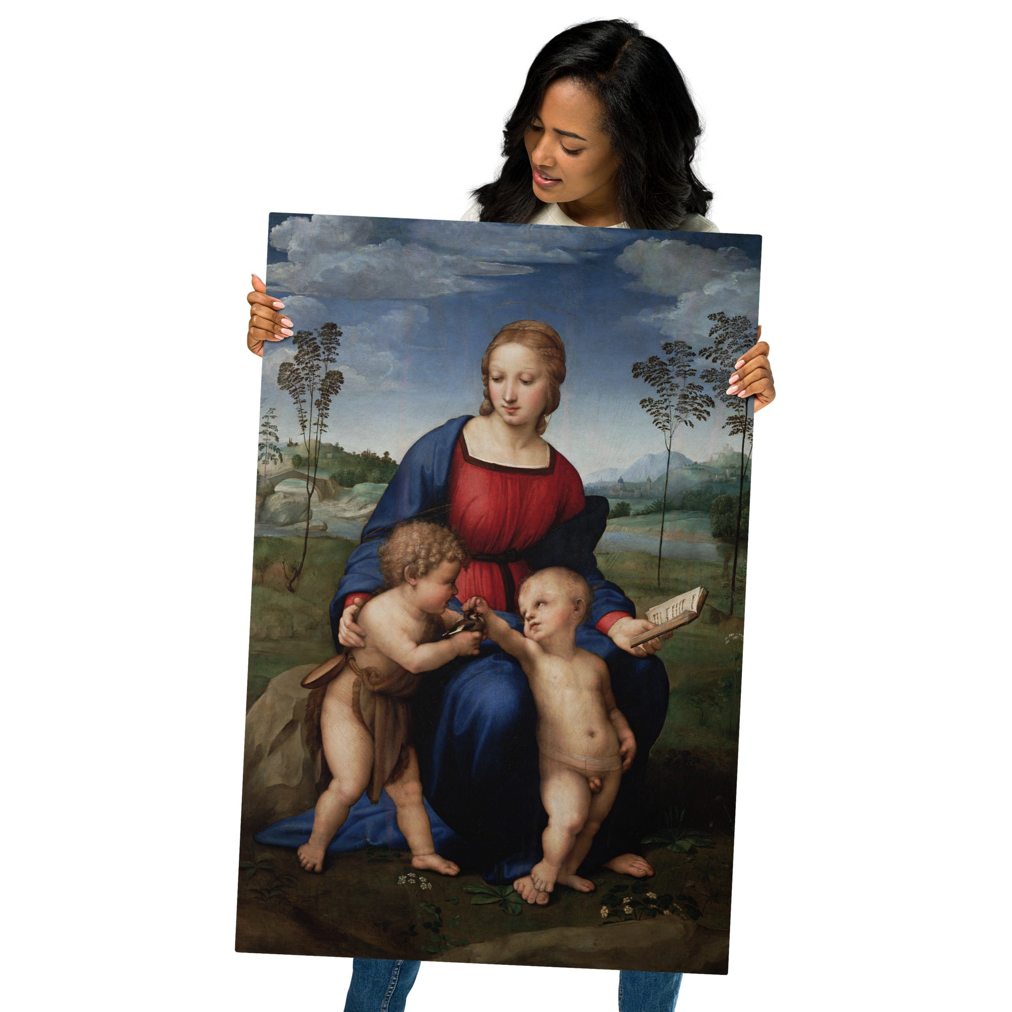 Metal prints-Raphael-Italian 1483-1520-Madonna Del Cardellino 1505