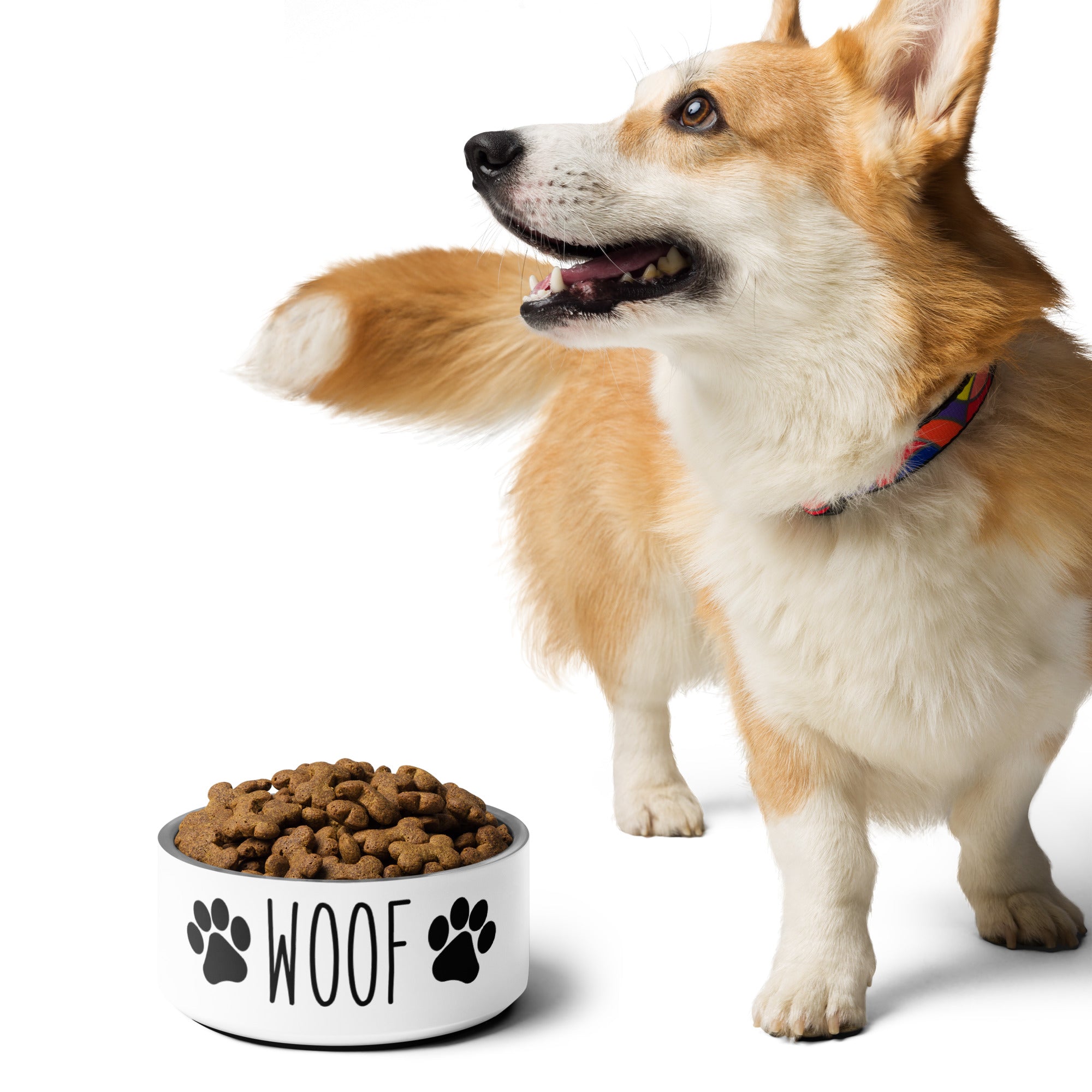 Pet bowl- Woof