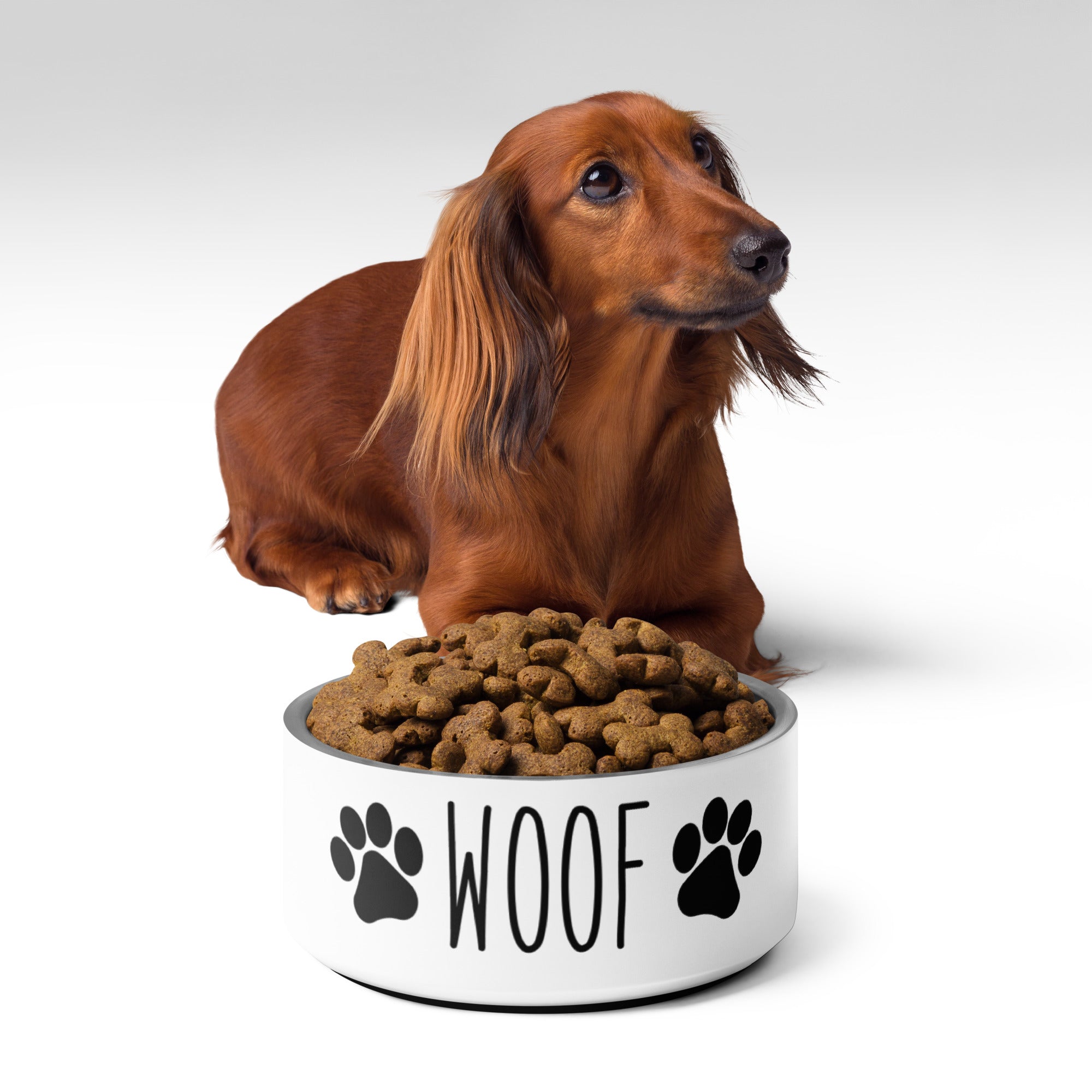 Pet bowl- Woof