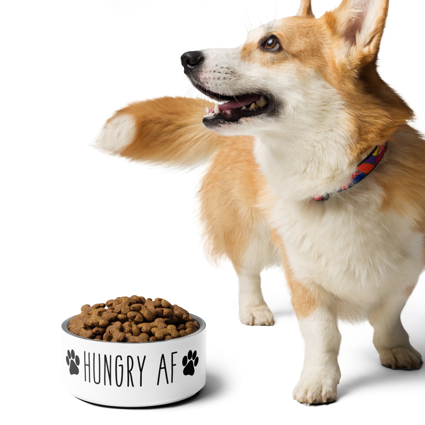 Pet skål- Hungry AF
