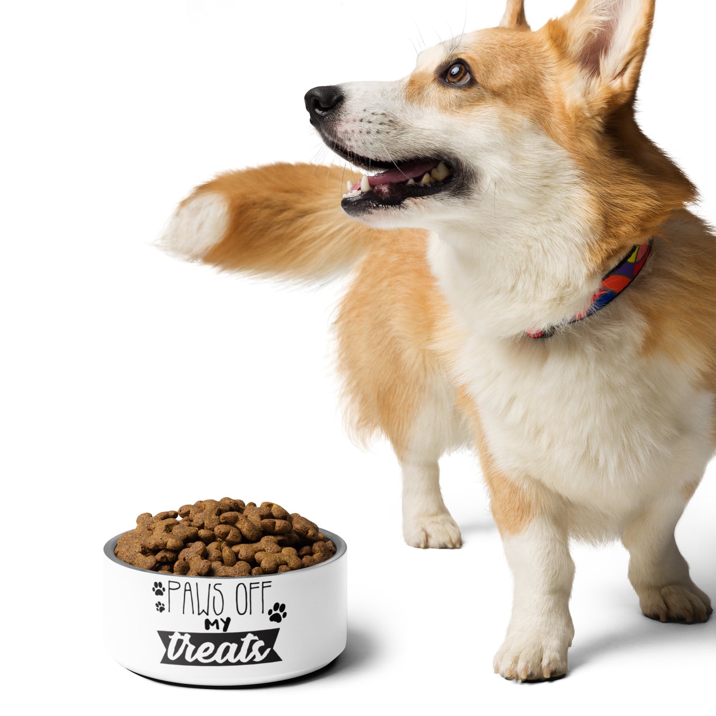 Pet bowl- Paws off my treats