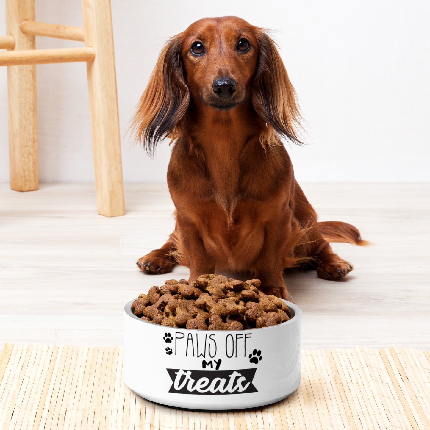 Pet bowl- Paws off my treats