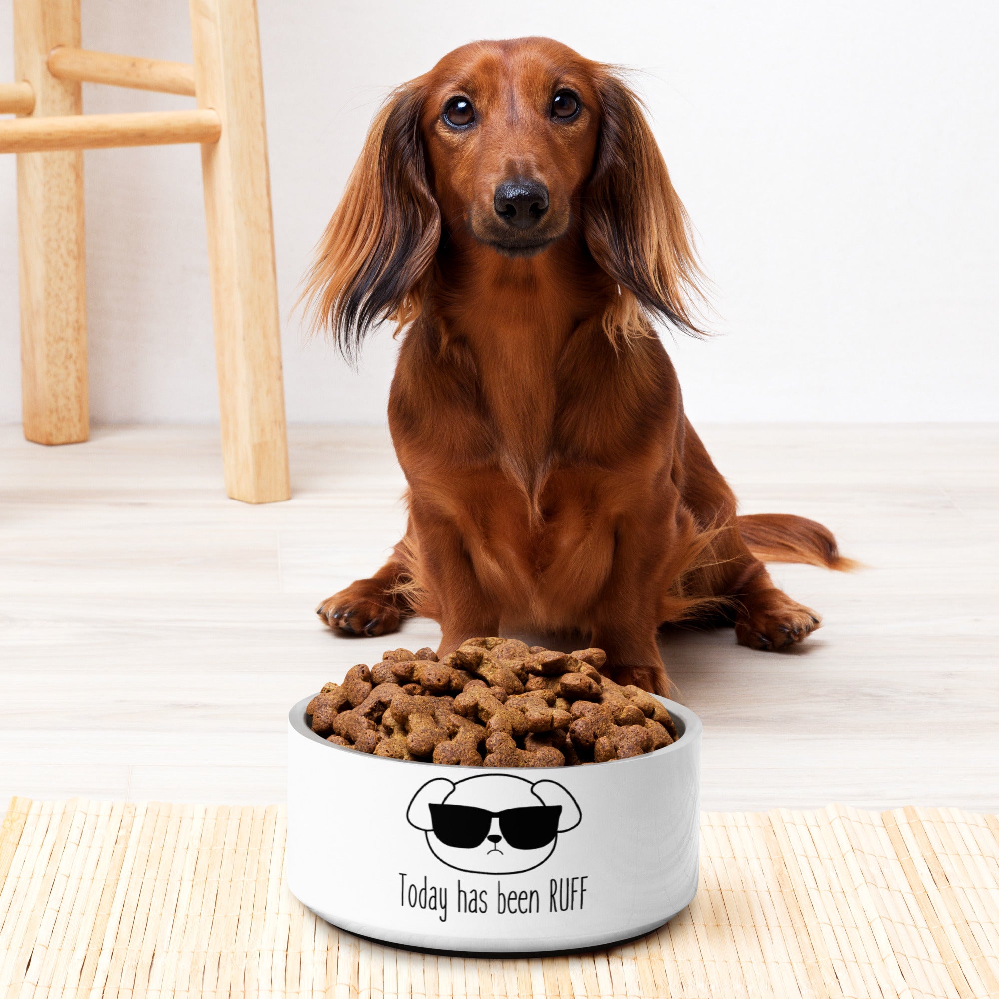 Pet bowl- Today has been Ruff