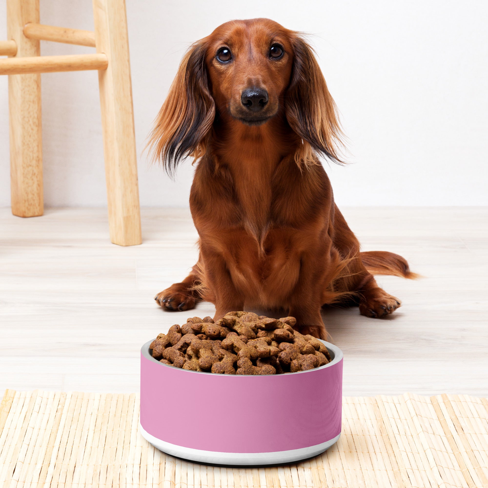 Pet bowl- Pink