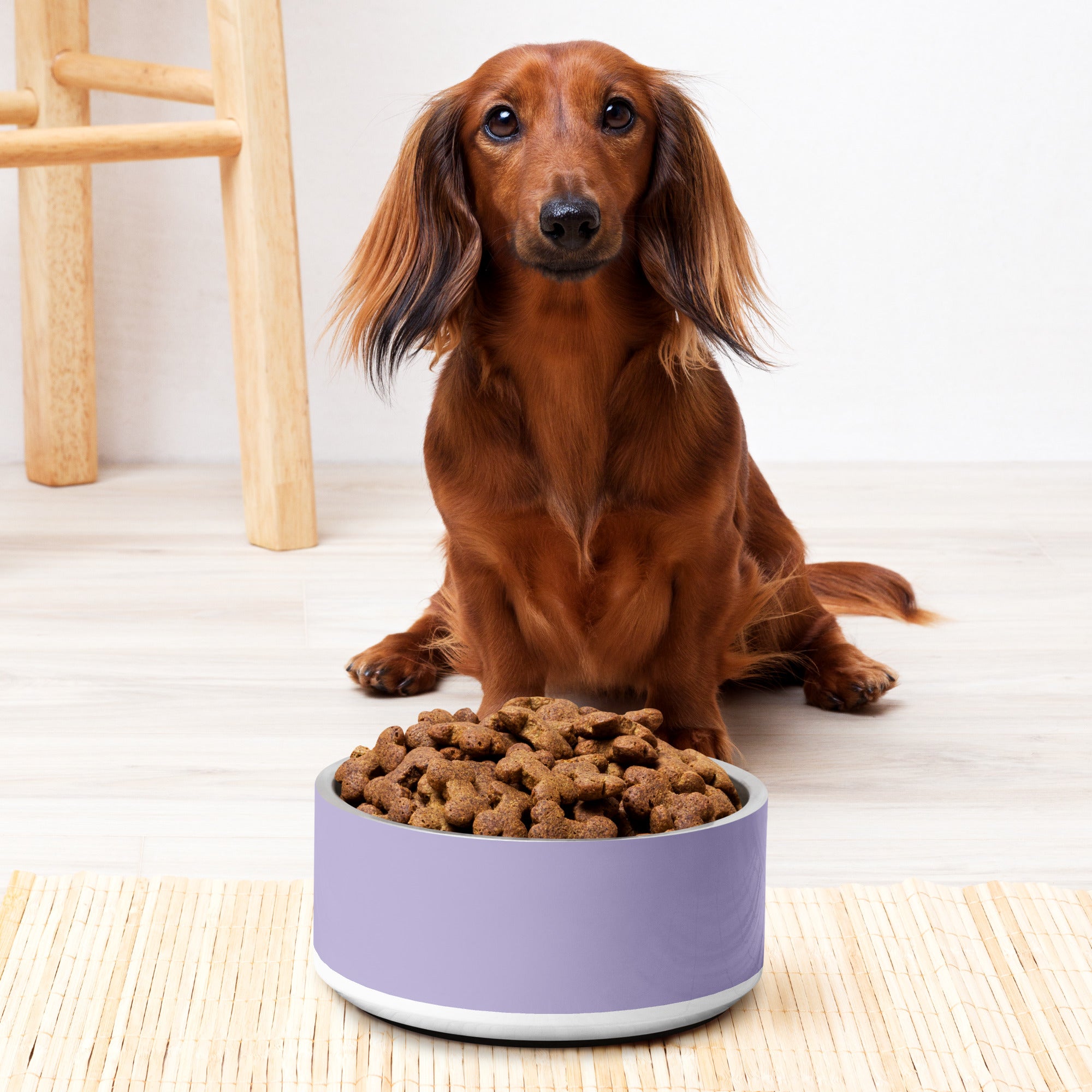 Pet bowl- Lavender