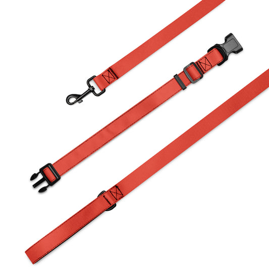 Pet collar & leash- Orange Red