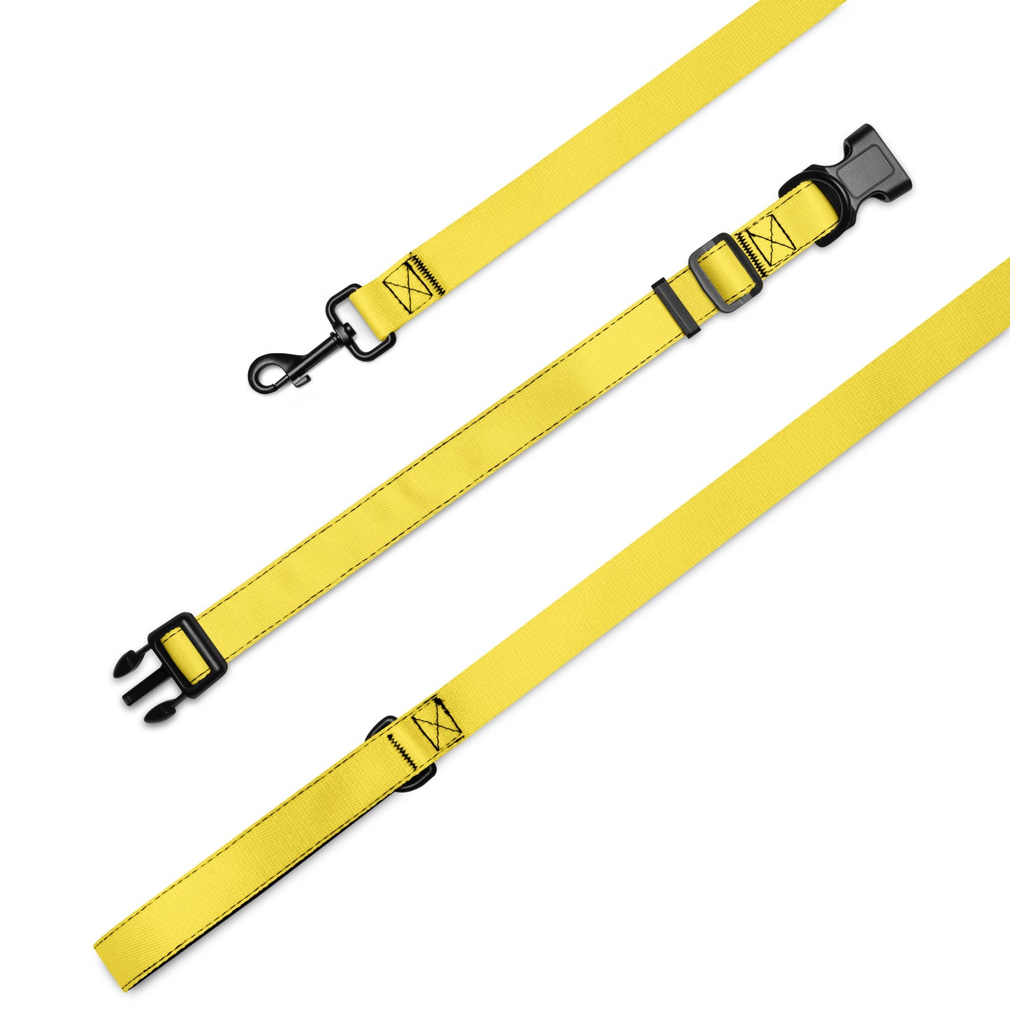 Pet collar & leash- Paris Daisy