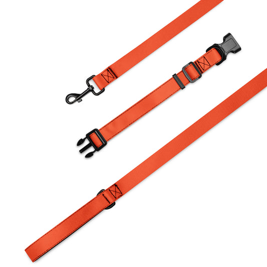 Pet collar & leash- Orange