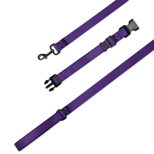 Pet collar & leash- Indigo