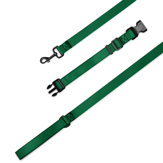 Pet collar & leash- Jewel