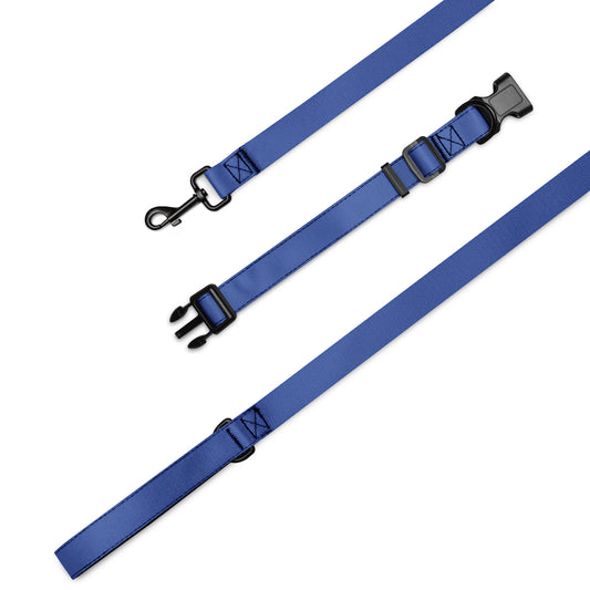 Pet collar & leash- Mariner