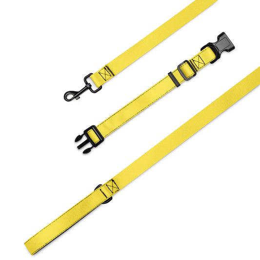 Pet collar & leash- Paris Daisy