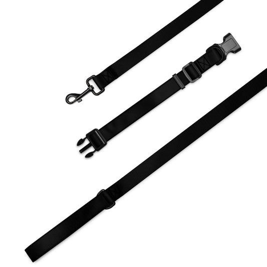 Pet collar & leash- Black