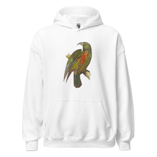 Parrot of New Zealand