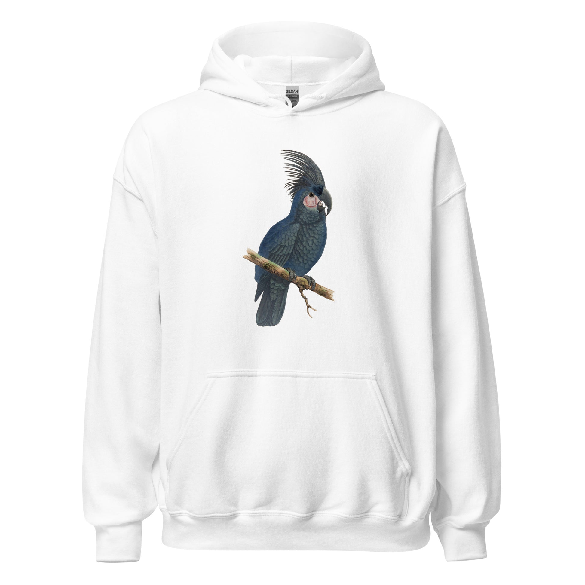 Great Black Cockatoo