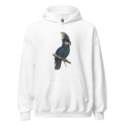 Great Black Cockatoo