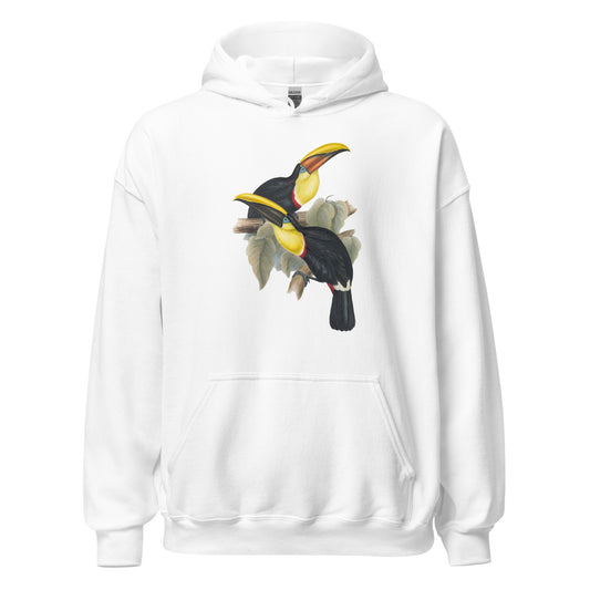 Family of Toucans