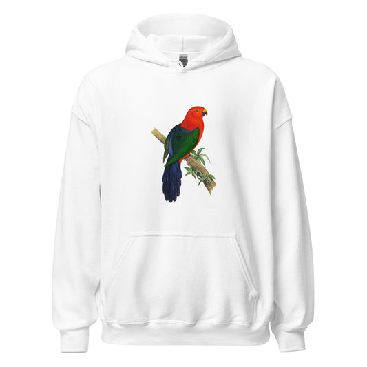 King Parrot