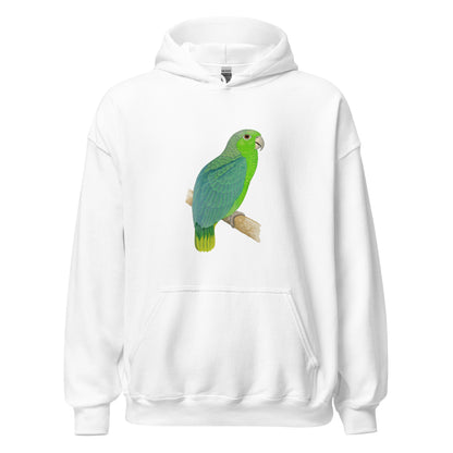 Mealy Amazon Parrot