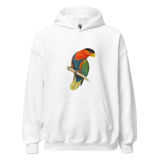 Coloured Capped Lory