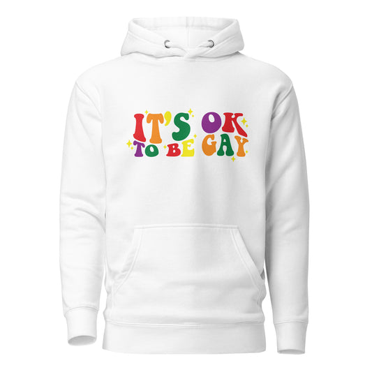 Unisex Hoodie- It's ok to be gay