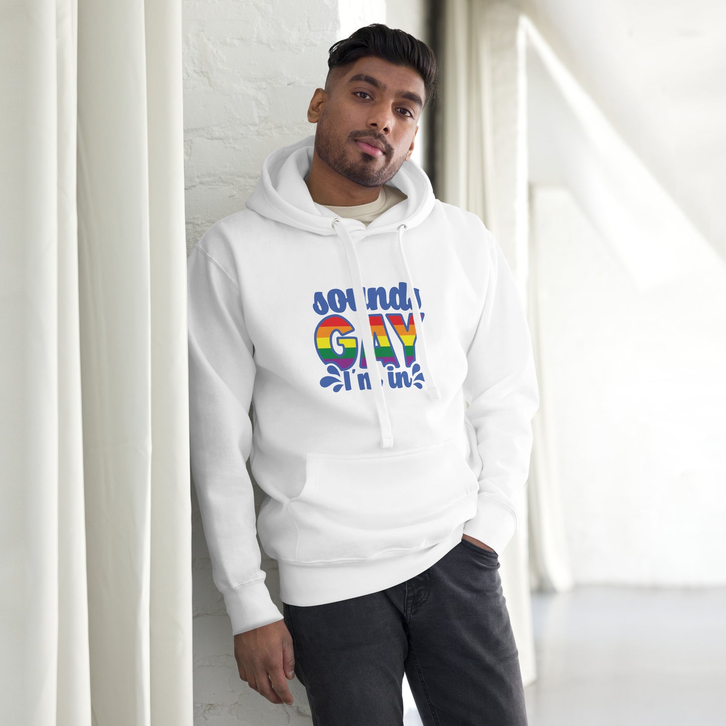 Unisex Hoodie- Sounds gay I'm in