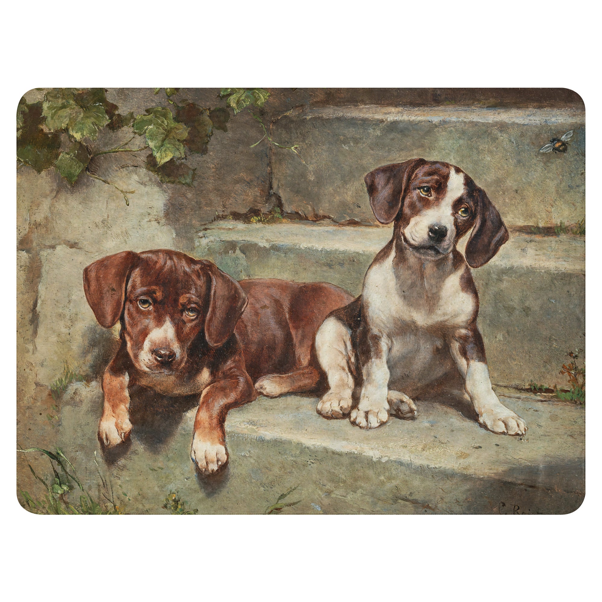 Sherpa blanket-Gestrte siesta