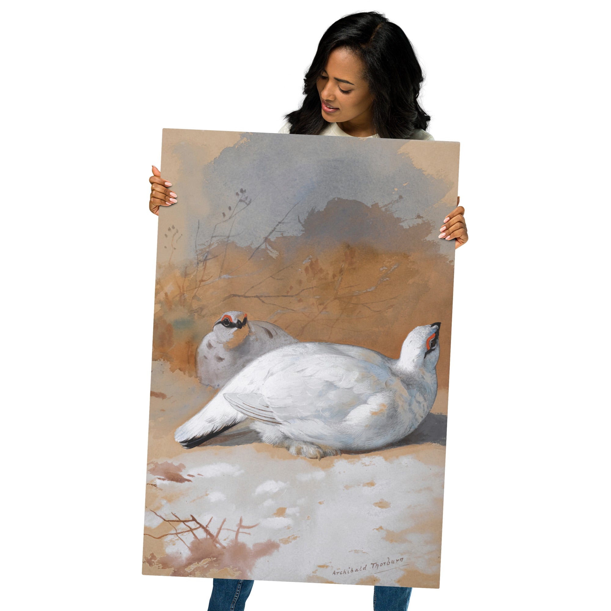 Metal prints-Archibald Thorburn-Scottish 1860-1935-A Brace Of Ptarmigan In The Snow