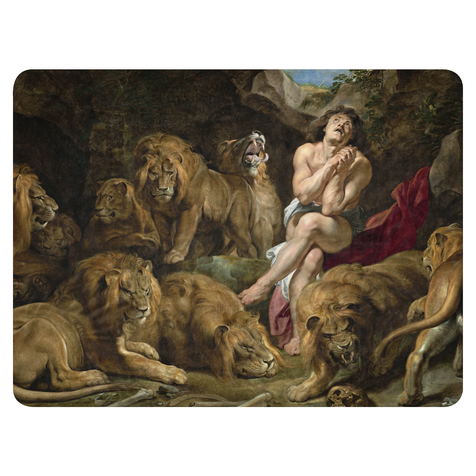 Sherpa blanket-Daniel in the Lions Den
