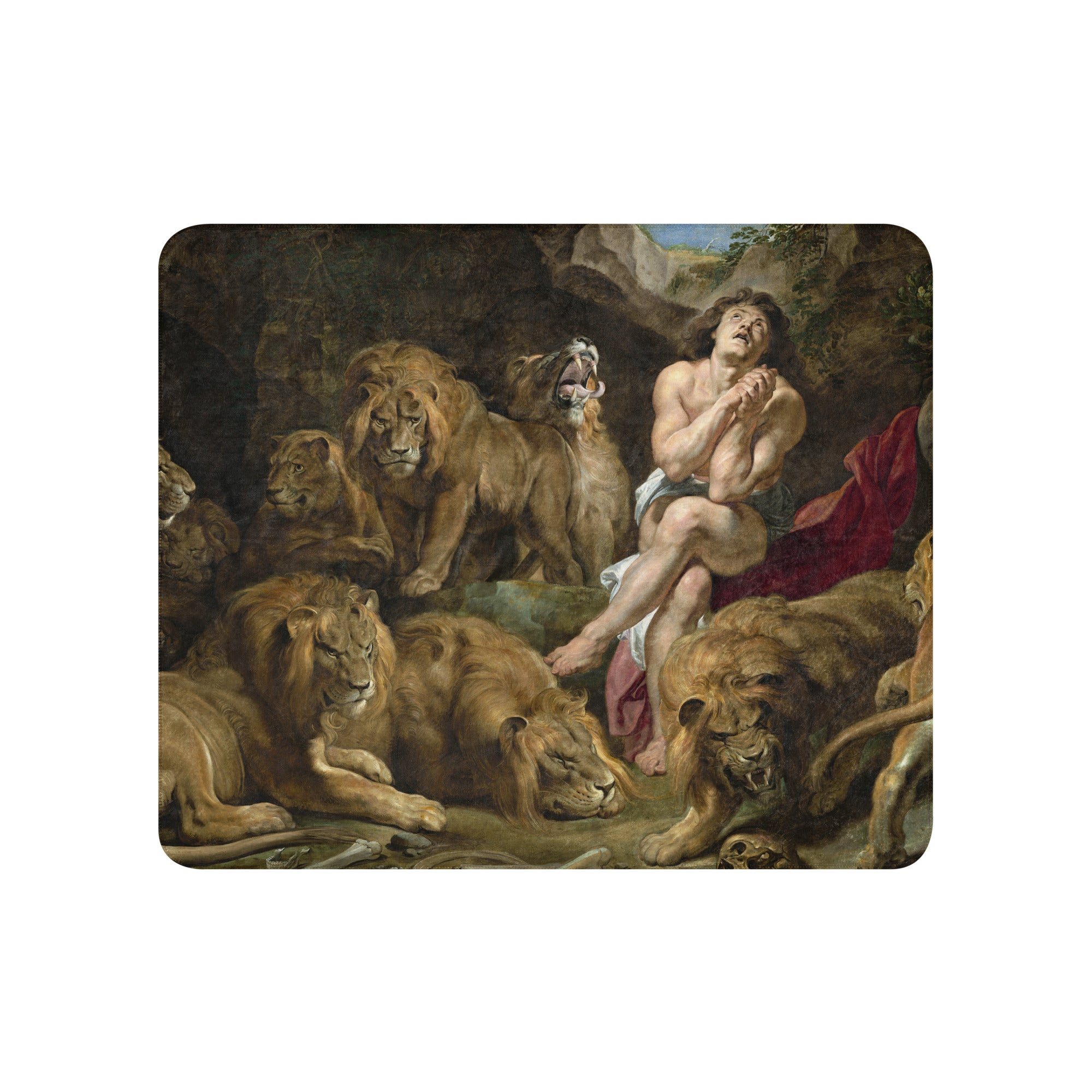 Sherpa blanket-Daniel in the Lions Den