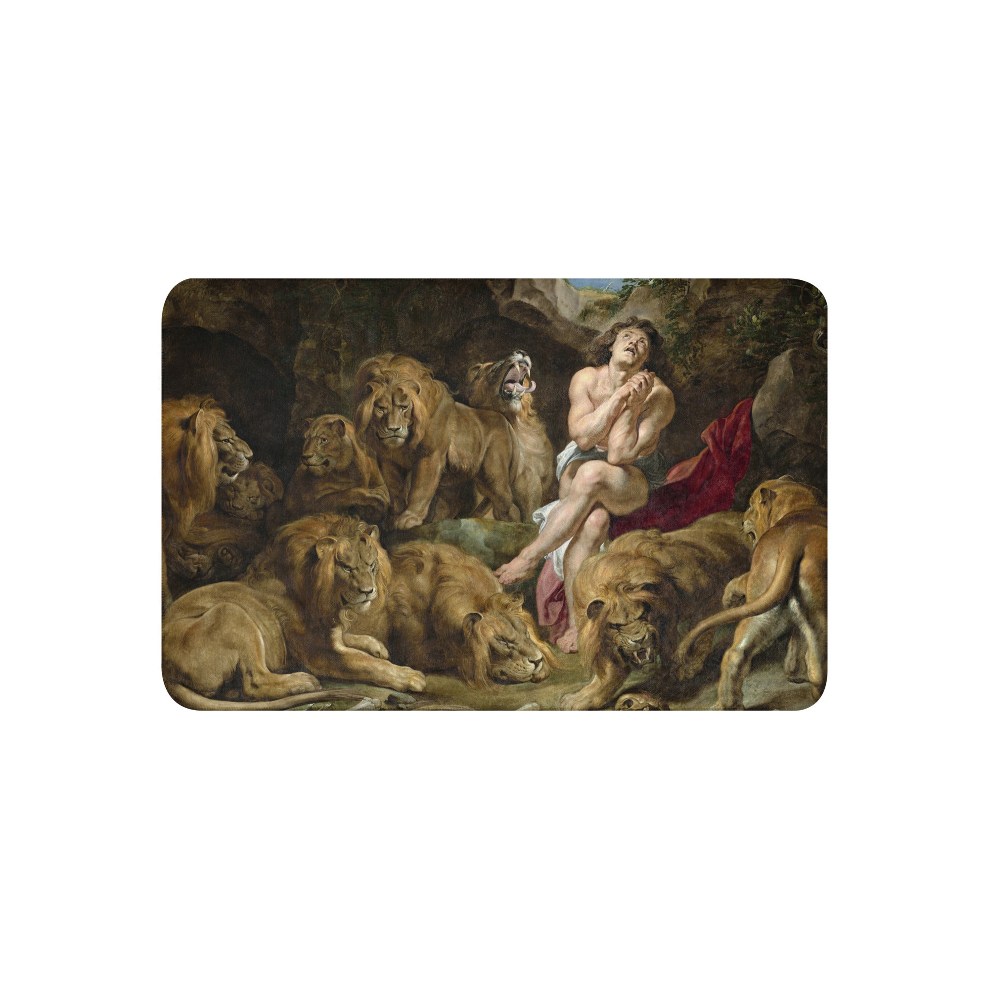 Sherpa blanket-Daniel in the Lions Den