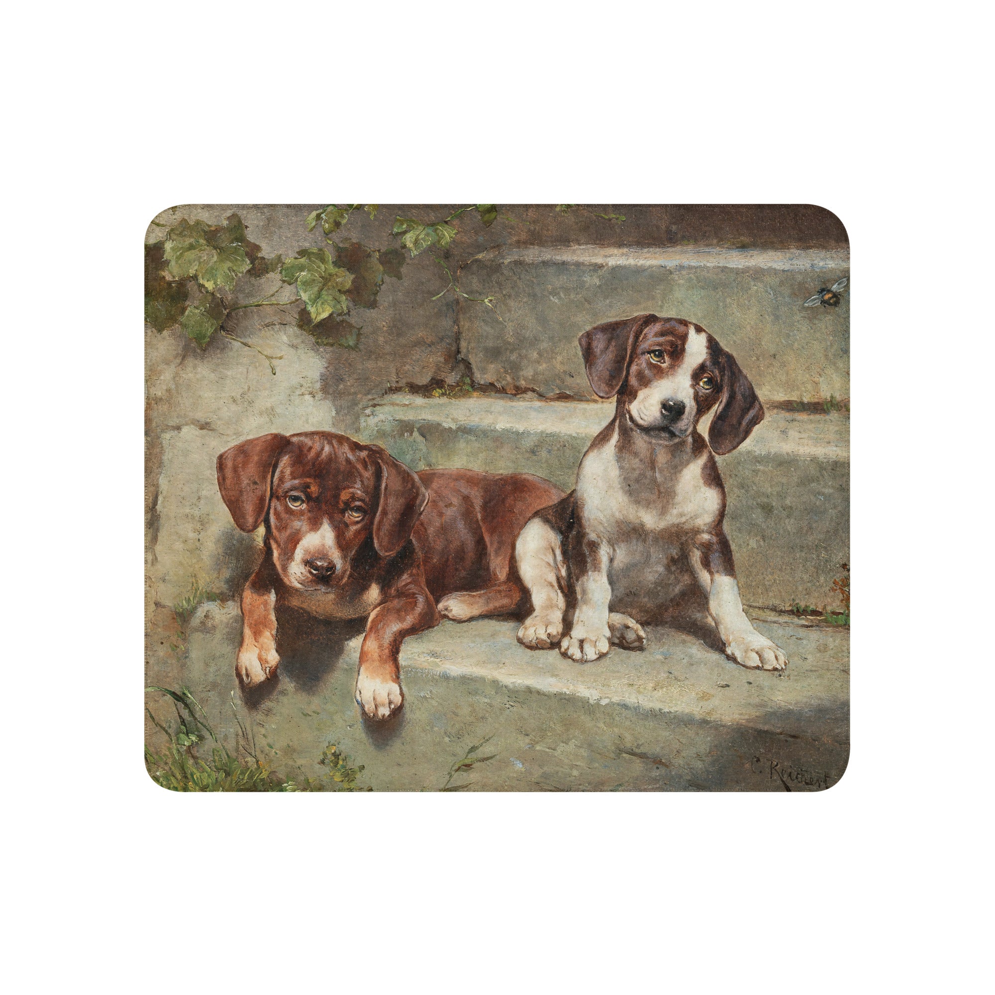 Sherpa blanket-Gestrte siesta