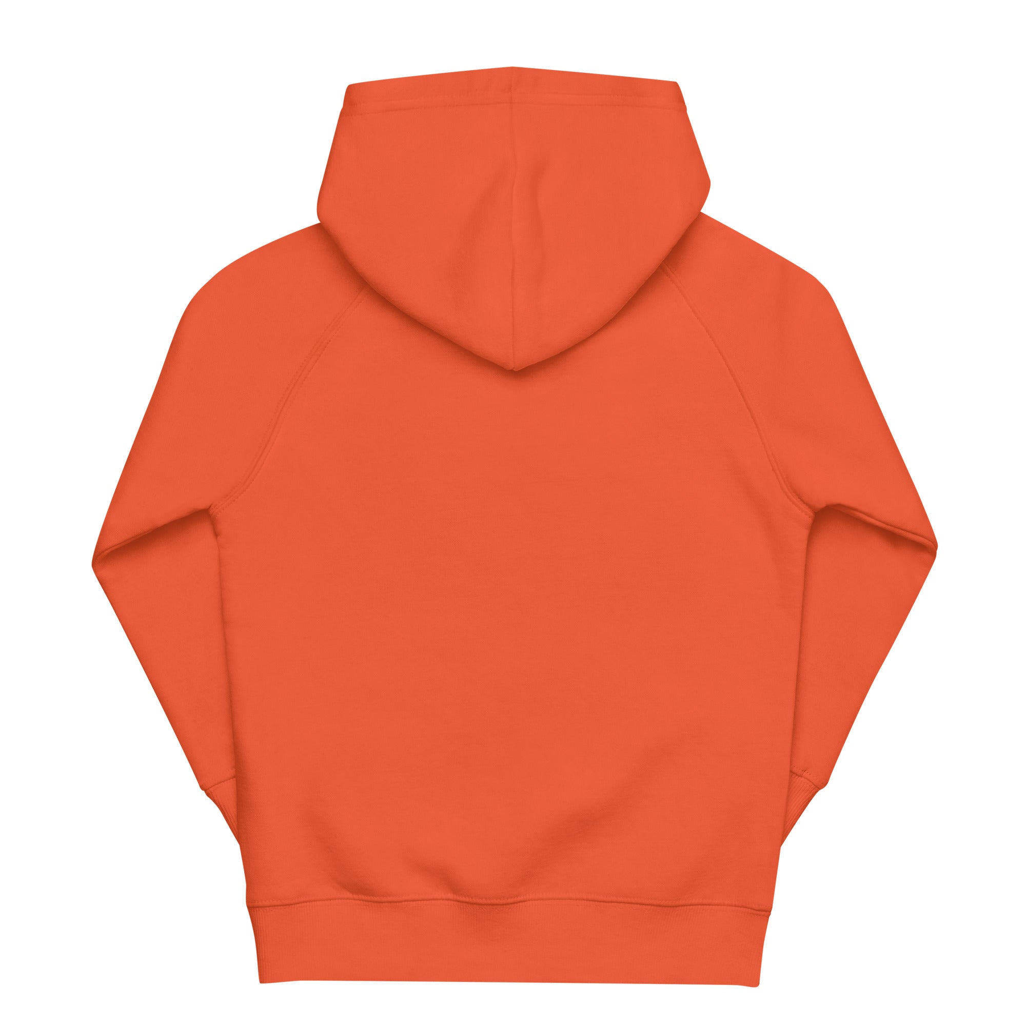 Kids eco hoodie Monkey II