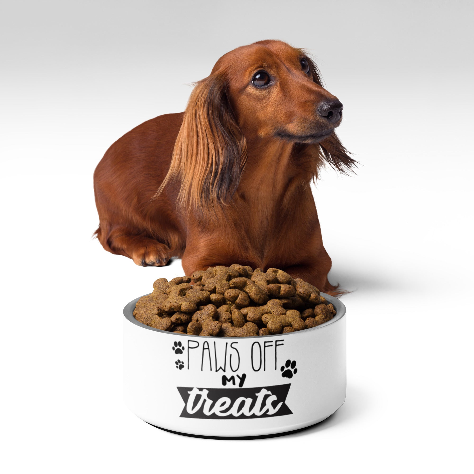 Pet bowl Paws off my treats