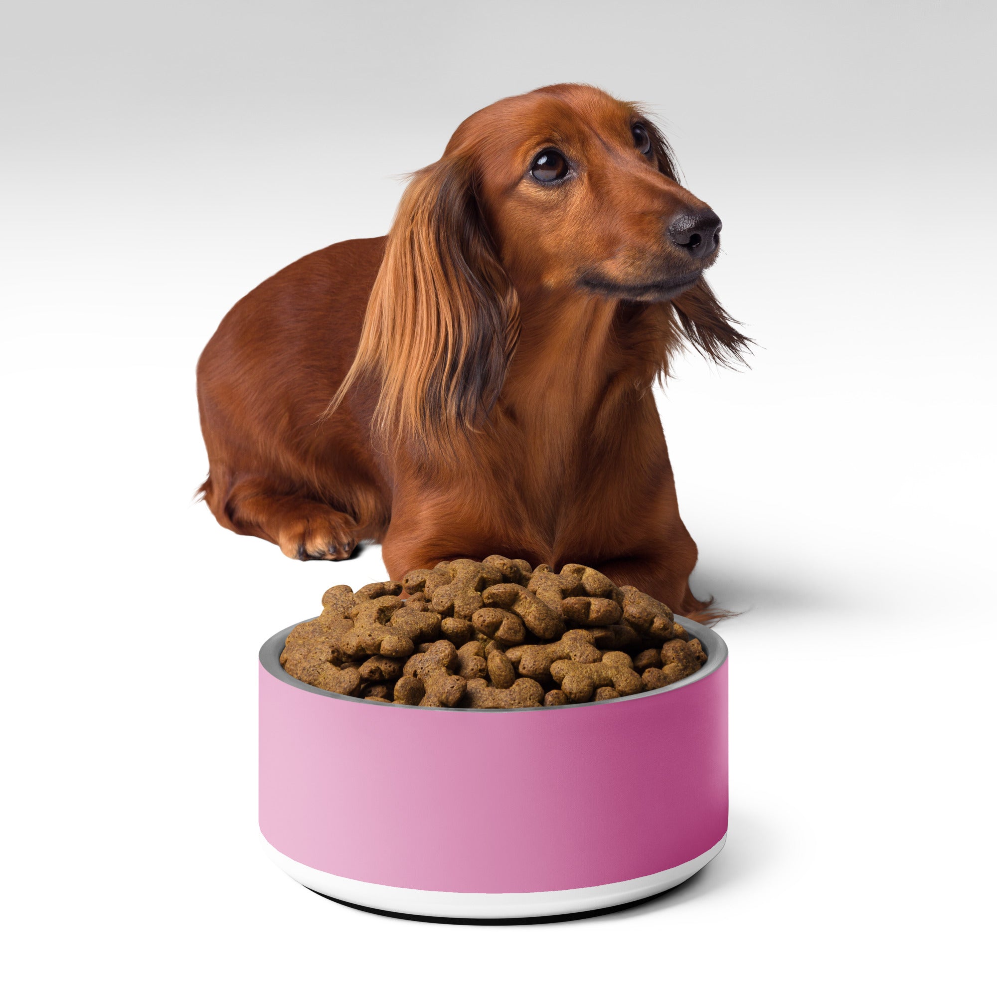 Pet bowl Pink