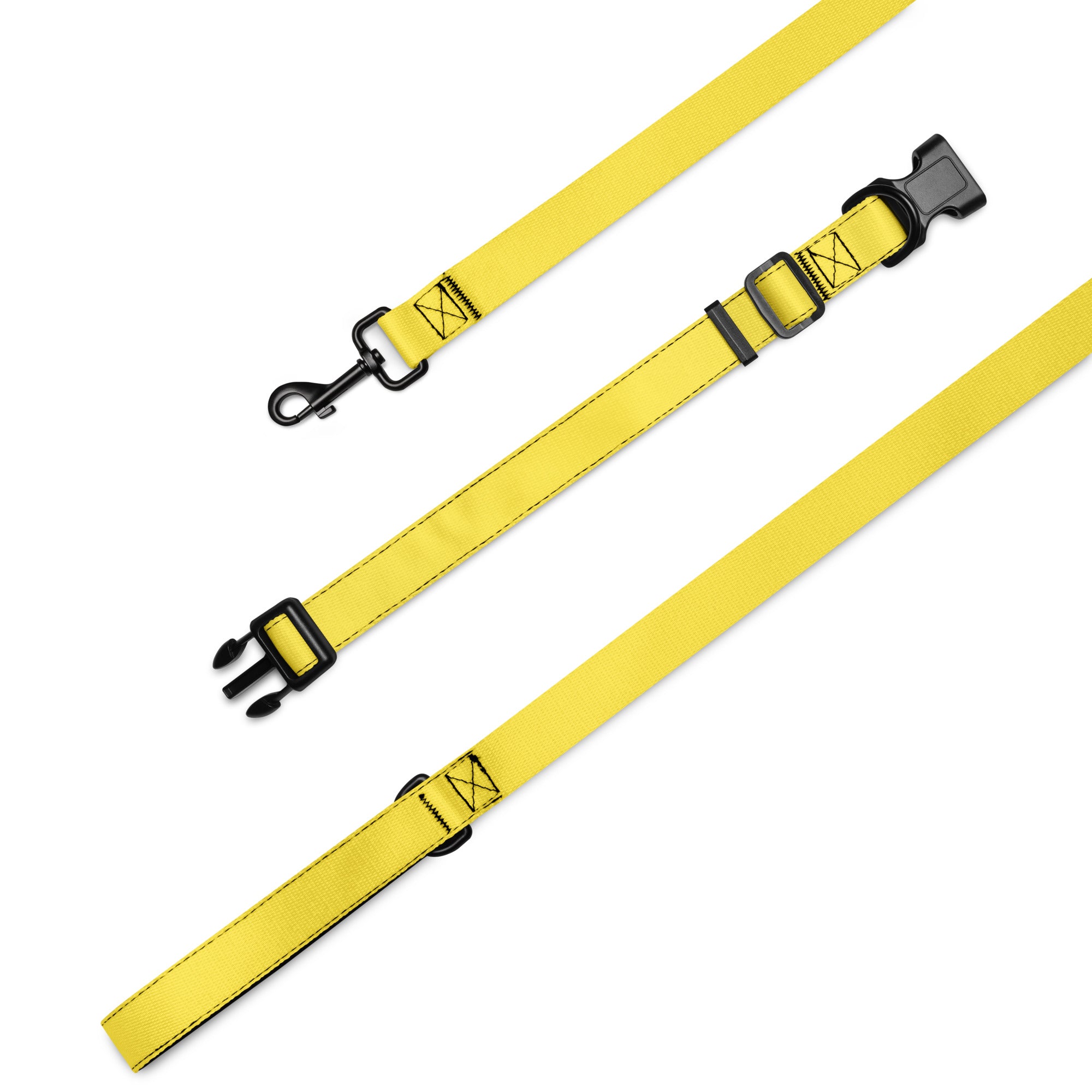 Pet collar & leash Paris Daisy