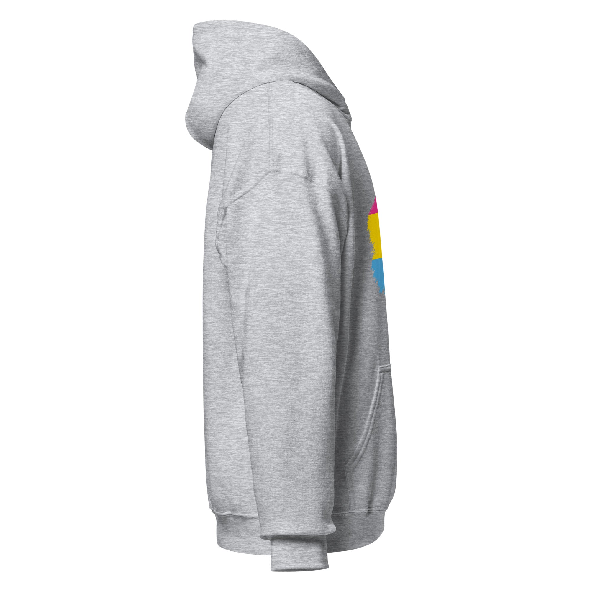 Unisex Hoodie Pansexual Grunge Flag
