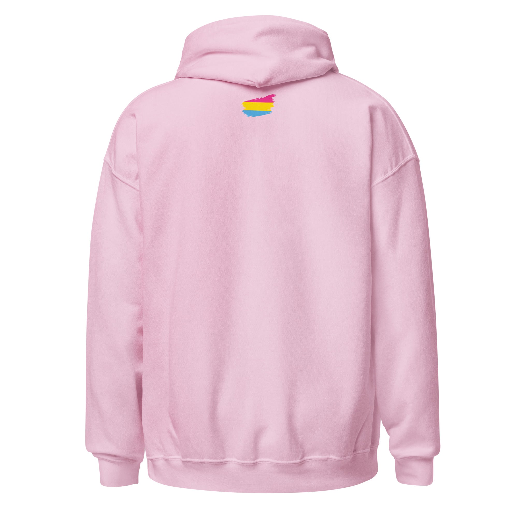 Unisex Hoodie Pansexual Grunge Flag