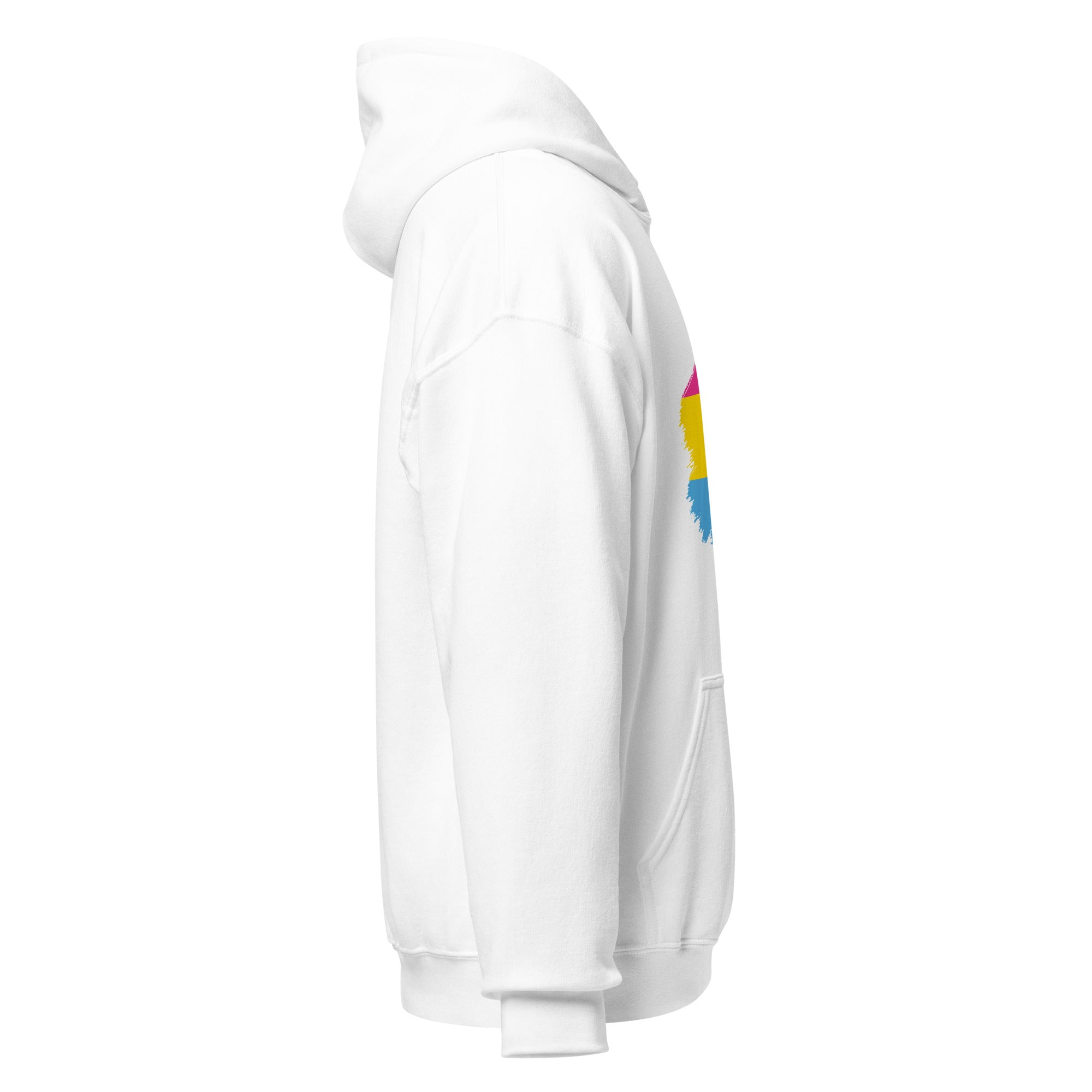Unisex Hoodie Pansexual Grunge Flag
