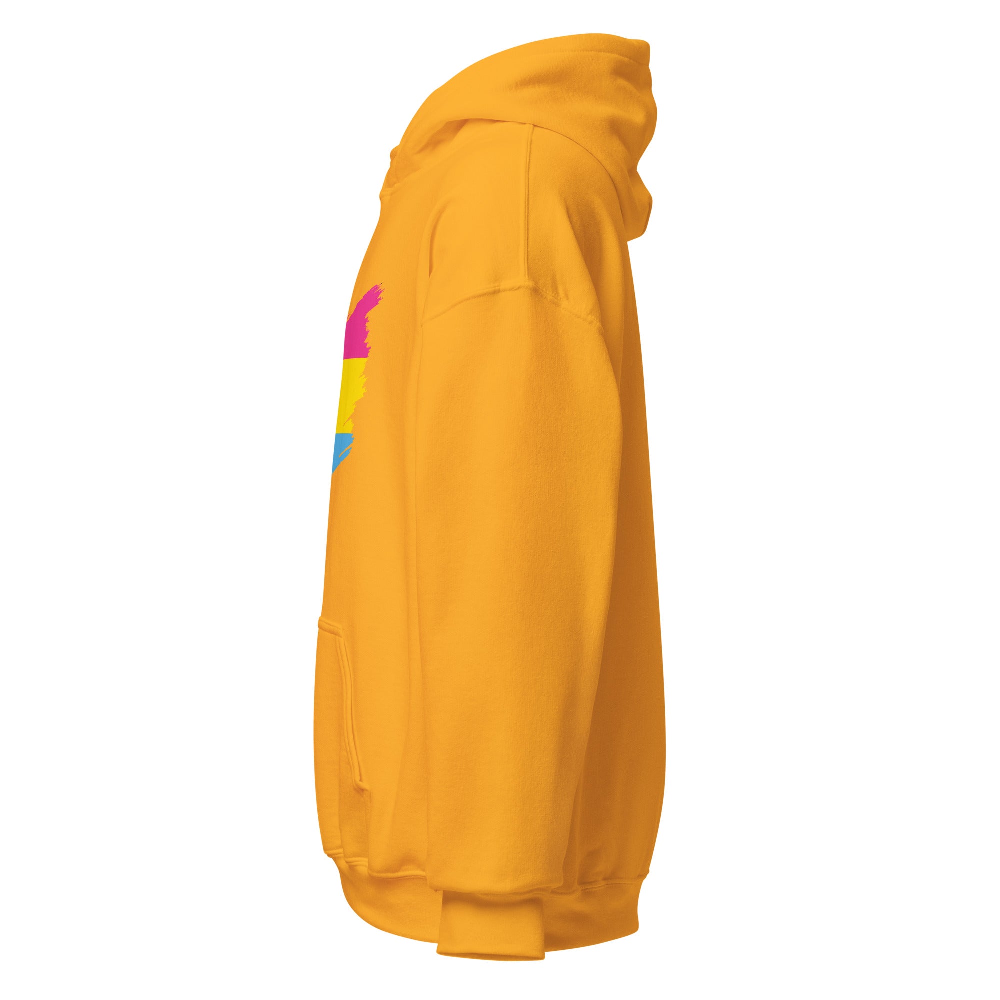 Unisex Hoodie Pansexual Grunge Flag